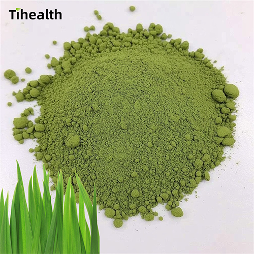 Oat Grass Powder